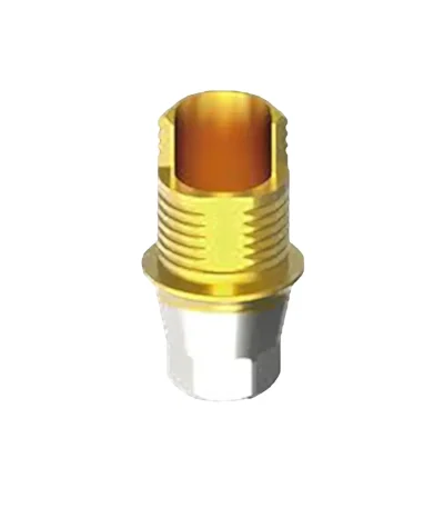Ti Base Abutment
